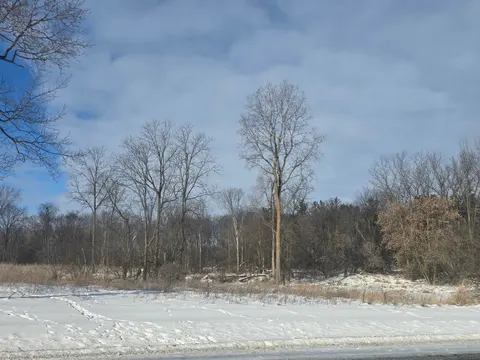 S Pine River Road, Ithaca MI 48847 photo 3