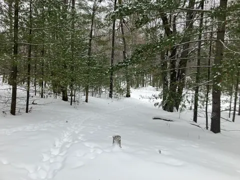 VL Wilderness Circle, Alger MI 48610 photo 1
