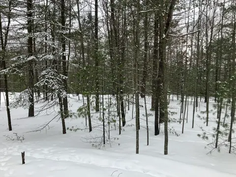 VL Wilderness Circle, Alger MI 48610 photo 2