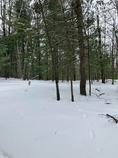 VL Wilderness Circle, Alger MI 48610 photo 4