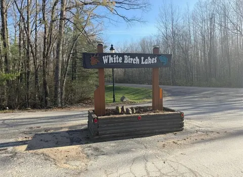 Lot 40 Squirrel Run, Farwell MI 48622 photo 1