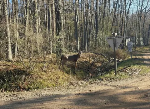 Lot 40 Squirrel Run, Farwell MI 48622 photo 3