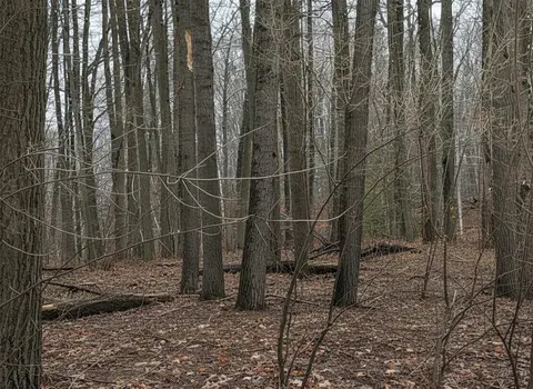 Lot 40 Squirrel Run, Farwell MI 48622 photo 5
