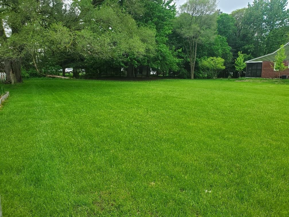 1616 E High Street, Mount Pleasant MI 48858 photo 1