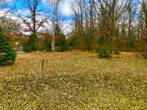 1041 & 1043 Bonanza Lane, Lake Isabella MI 48893 photo 4