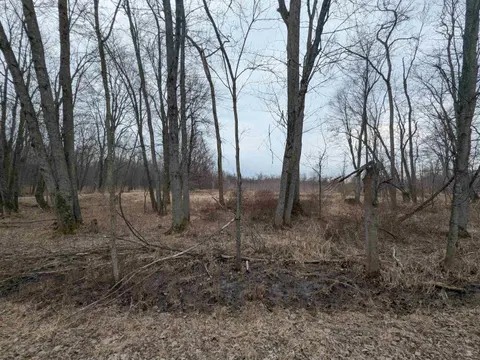 4438 Reynolds Road, Turner MI 48765 photo 3