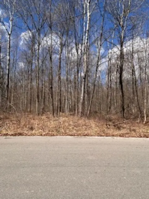 2895 Degeer Court, Midland MI 48642 photo 3