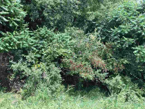 1006/1008 Laredo Drive, Lake Isabella MI 48893 photo 2