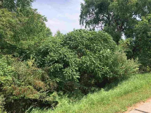 1006/1008 Laredo Drive, Lake Isabella MI 48893 photo 4