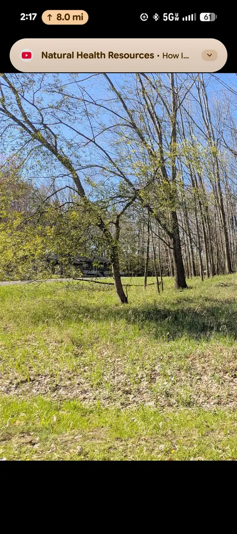 1050 Bundy Drive, Lake Isabella MI 48893 photo 5