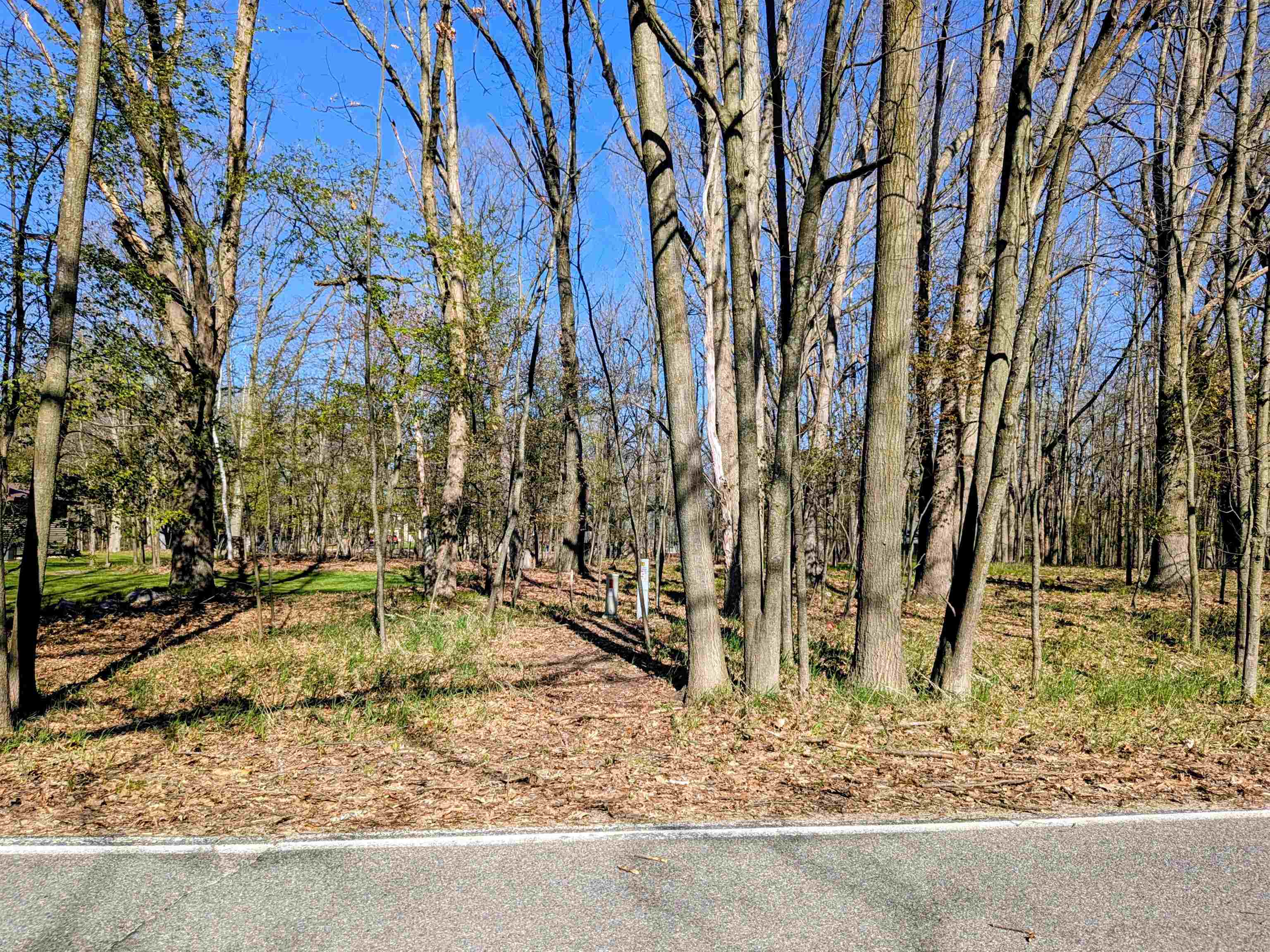 1048 Bundy Drive, Lake Isabella MI 48893 photo 1