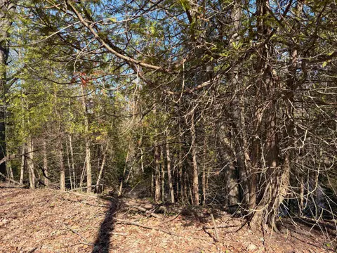 TBD S Loomis Road, Mount Pleasant MI 48858 photo 4