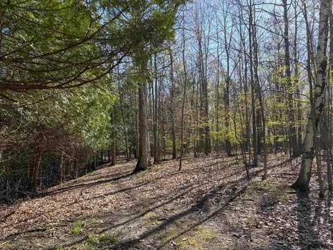 TBD S Loomis Road, Mount Pleasant MI 48858 photo 5