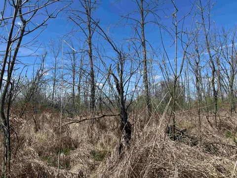 KNA Surfwood Drive, Standish MI 48658 photo 5