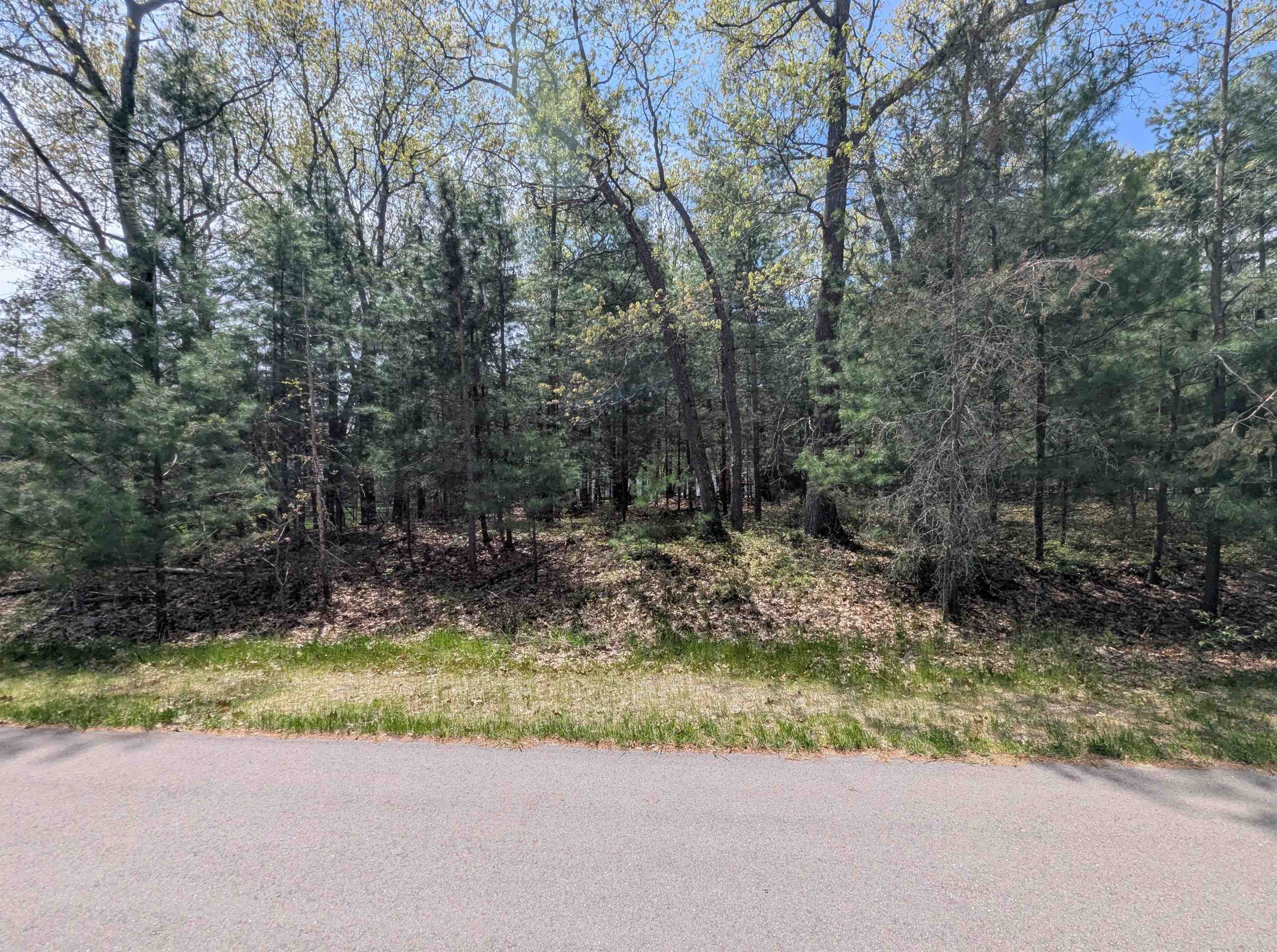 N/A Golfview Court, Au Gres MI 48703 photo 1