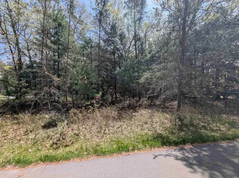 N/A Golfview Court, Au Gres MI 48703 photo 3