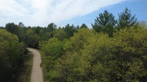 x Hillside Drive, Alger MI 48610 photo 1