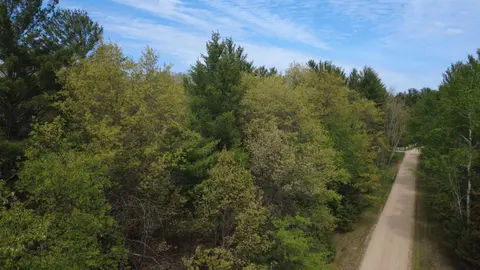 x Hillside Drive, Alger MI 48610 photo 2