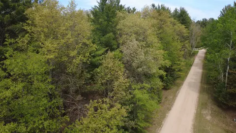 x Hillside Drive, Alger MI 48610 photo 3