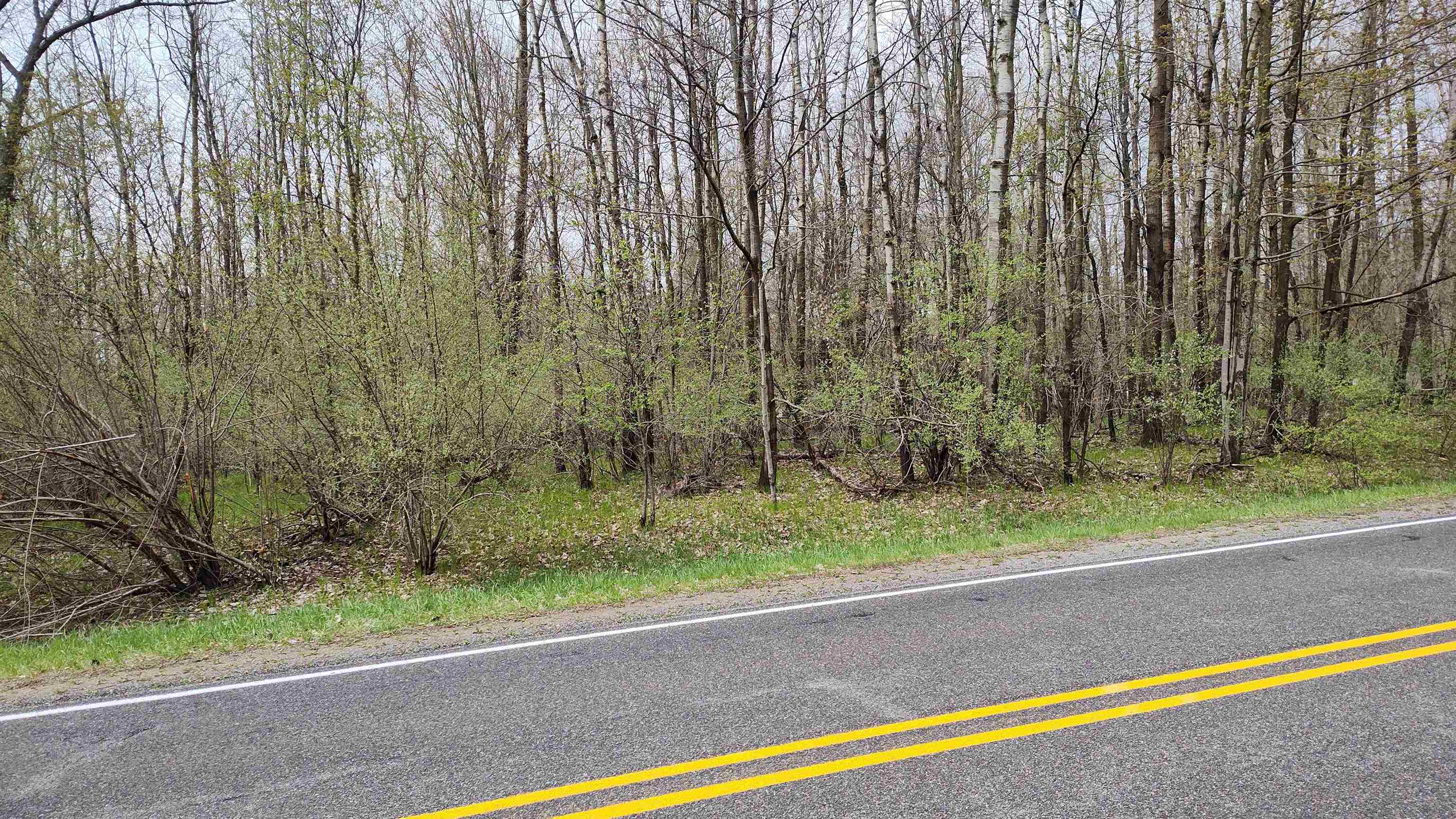 1154 Queensway Drive, Lake Isabella MI 48893 photo 1