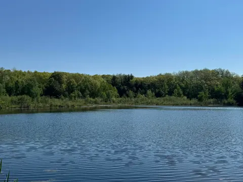 4611 Teaberry Lane, Farwell MI 48622 photo 5