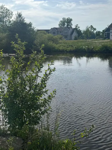 1196 Clubhouse Drive, Lake Isabella MI 48893 photo 2