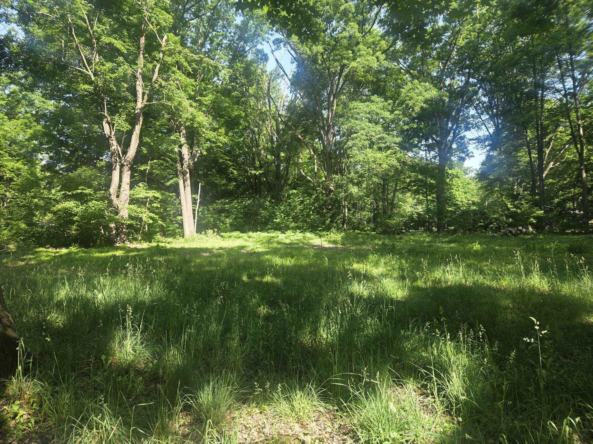 7820 Wilderness Drive, Weidman MI 48893 photo 1