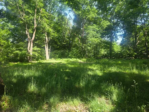7820 Wilderness Drive, Weidman MI 48893 photo 1