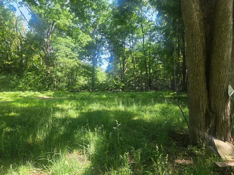 7820 Wilderness Drive, Weidman MI 48893 photo 2
