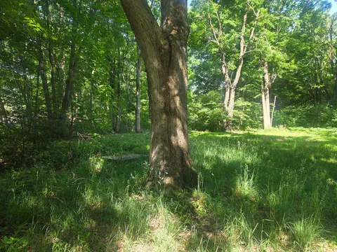 7820 Wilderness Drive, Weidman MI 48893 photo 3