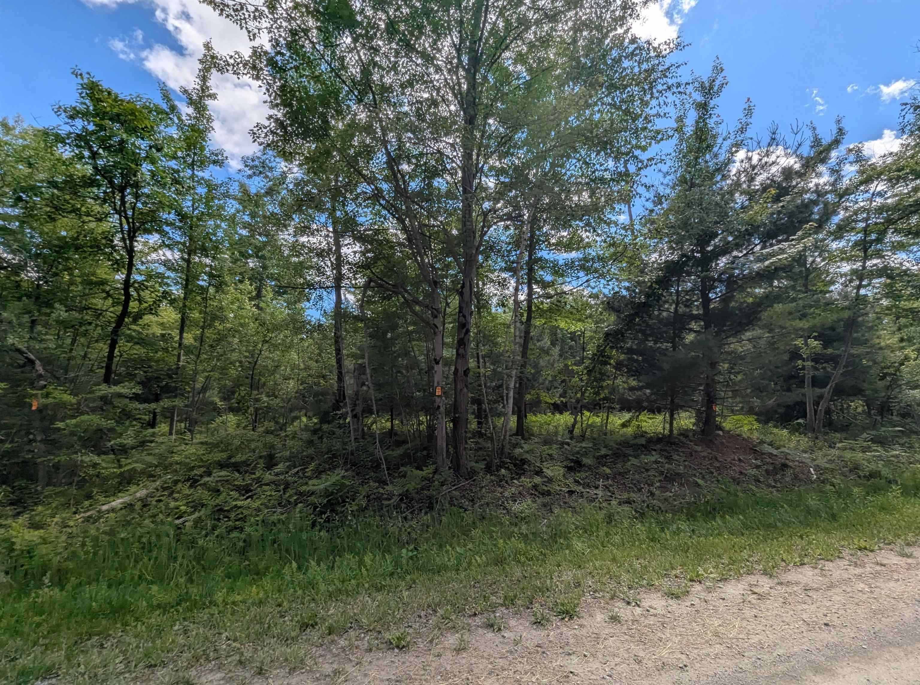 N/A Bordeau Road, Standish MI 48658 photo 1