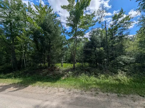 N/A Bordeau Road, Standish MI 48658 photo 4