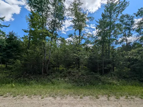 N/A Bordeau Road, Standish MI 48658 photo 5