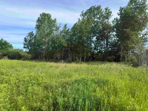 9540 S Mckinley Avenue, Lake MI 48632 photo 2