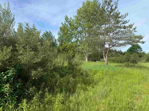 9540 S Mckinley Avenue, Lake MI 48632 photo 3