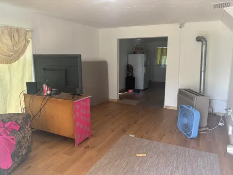 313 Pleasant Avenue, Alma MI 48801 photo 5
