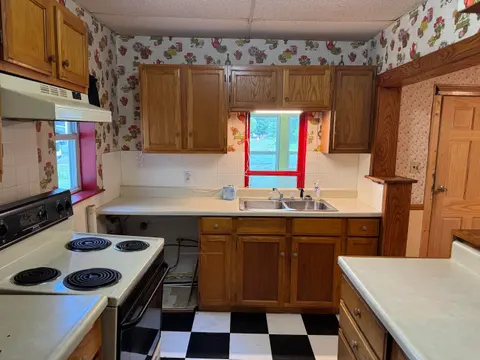225 N Hayes Street, Farwell MI 48622 photo 3