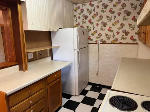 225 N Hayes Street, Farwell MI 48622 photo 4