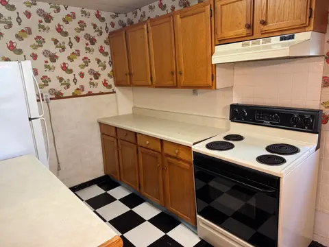 225 N Hayes Street, Farwell MI 48622 photo 5