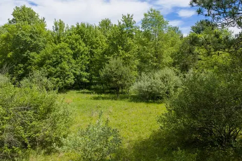 1999 Ryan Road, Caro MI 48723 photo 5
