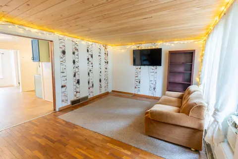 8196 Ludington Drive, Lake MI 48632 photo 4