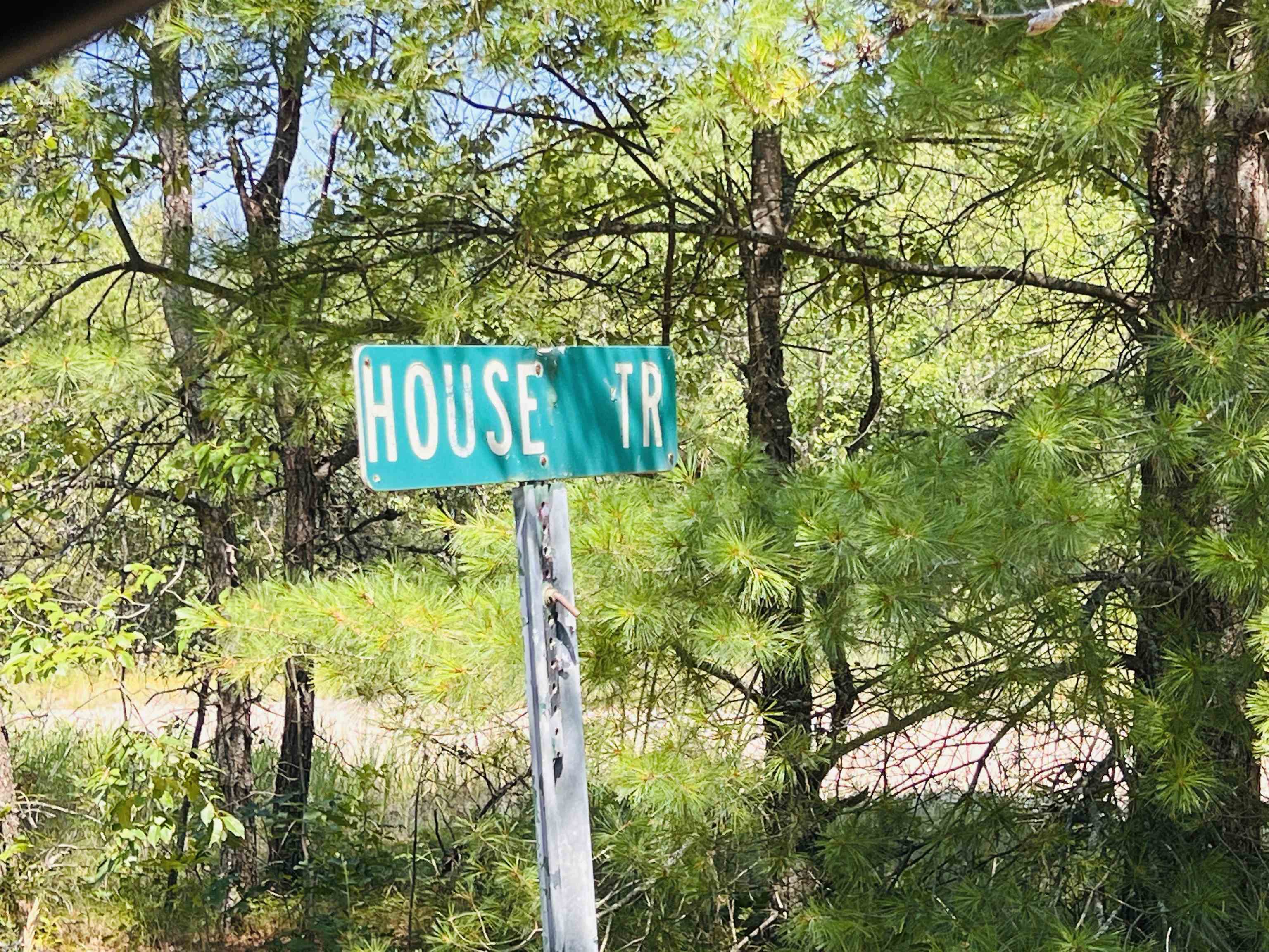 9401 House Trail, Marion MI 49665 photo 1