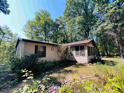 9401 House Trail, Marion MI 49665 photo 3