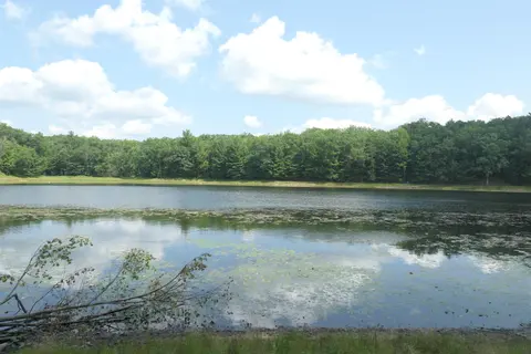 3420 Bungo Trail, Harrison MI 48625 photo 3