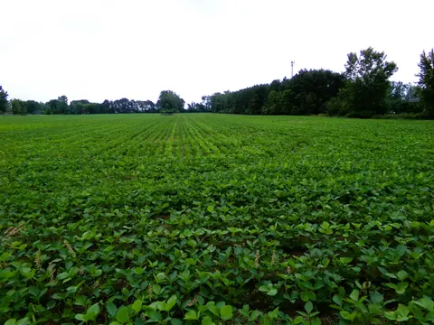 TBD Garfield Road, Saginaw MI 48603 land listing for sale