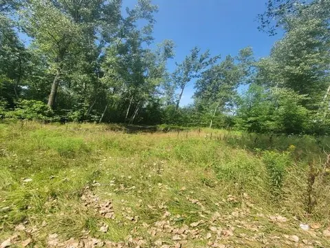 2615 Shaffer Road, Turner MI 48765 photo 2