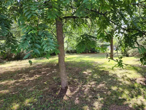3560 Pine Tree Drive, Weidman MI 48893 photo 4